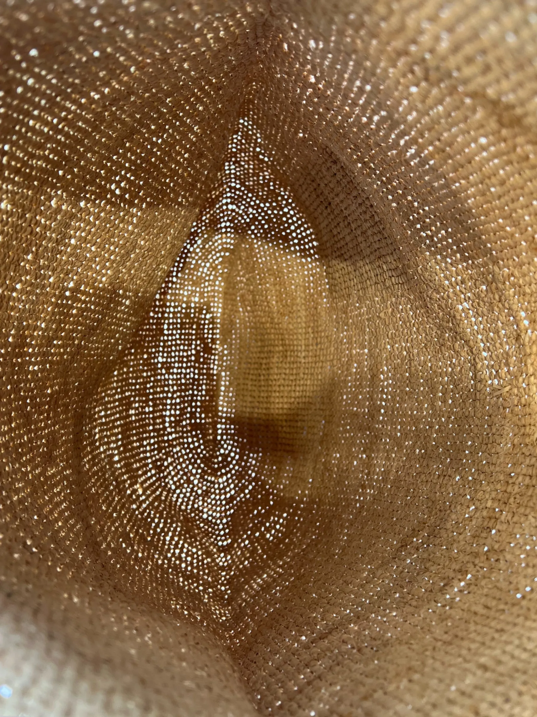 Loewe Raffia Slit Large Tote