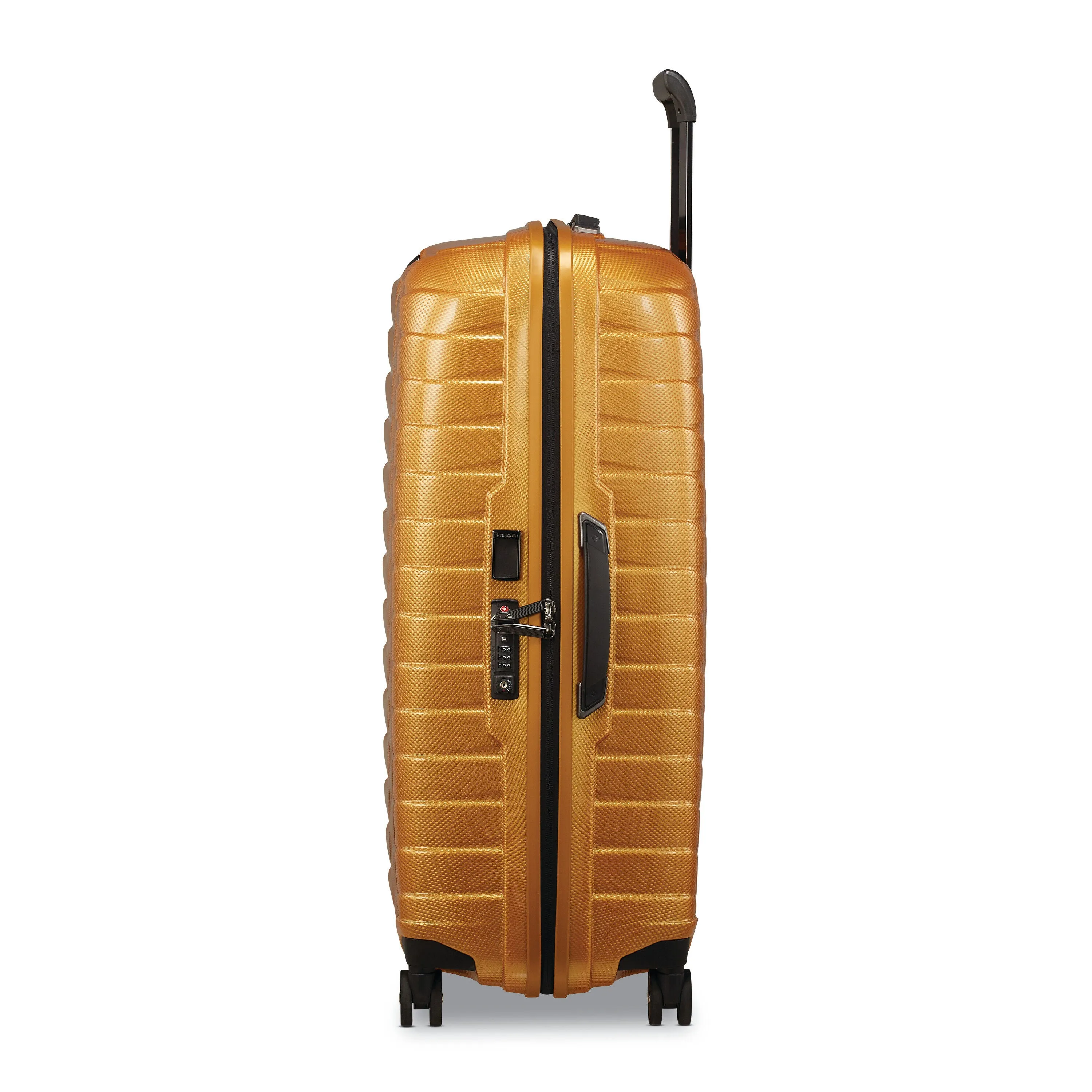 Proxis Large Spinner 30"